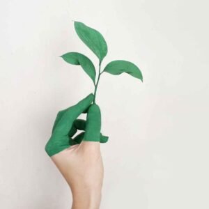 Sustainable Solutions: Crafting Persuasive Content for Eco-Friendly Brands and Green Initiatives